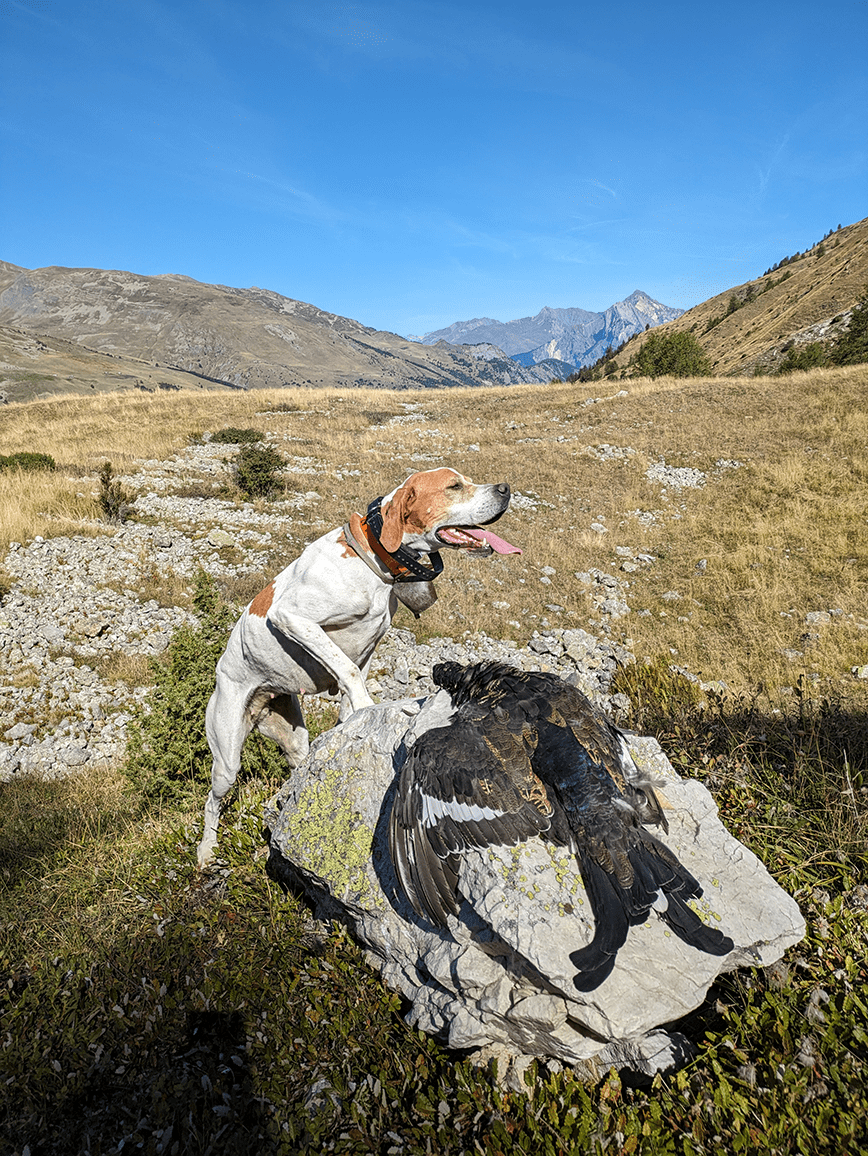 Renouvellement statuaire partiel du comité