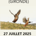 TAN AILLAS (GIRONDE) – 27 juillet 2025