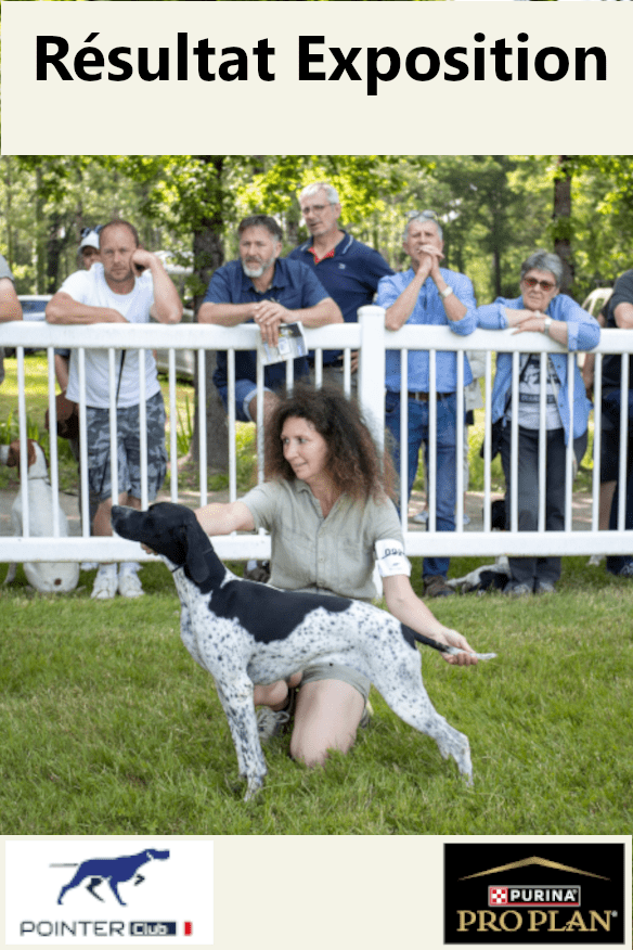 EXPOSITION NATIONALE CAMBRAIS  CACS 22/02/2026