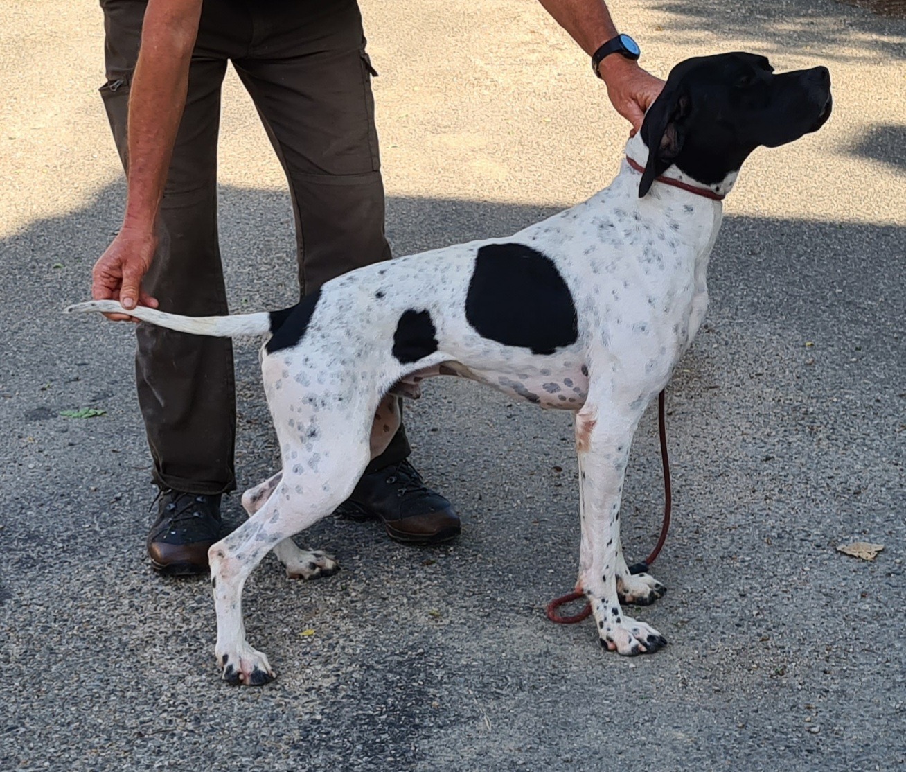 FTQC NIS SERBIE 11/03/2026